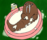 Bashful lazy eye'd walrus in a pool of cottage cheese